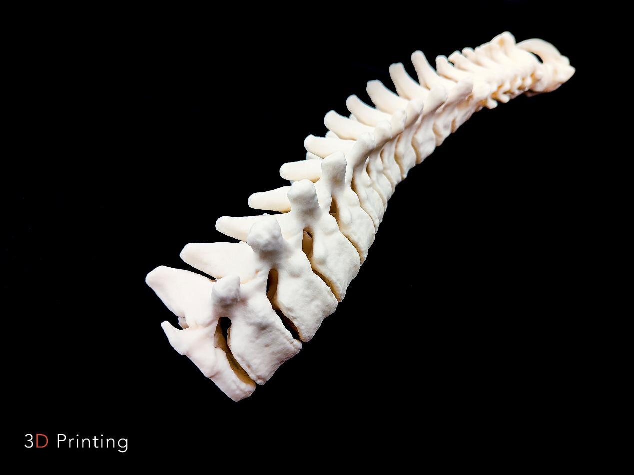 選擇性激光燒結